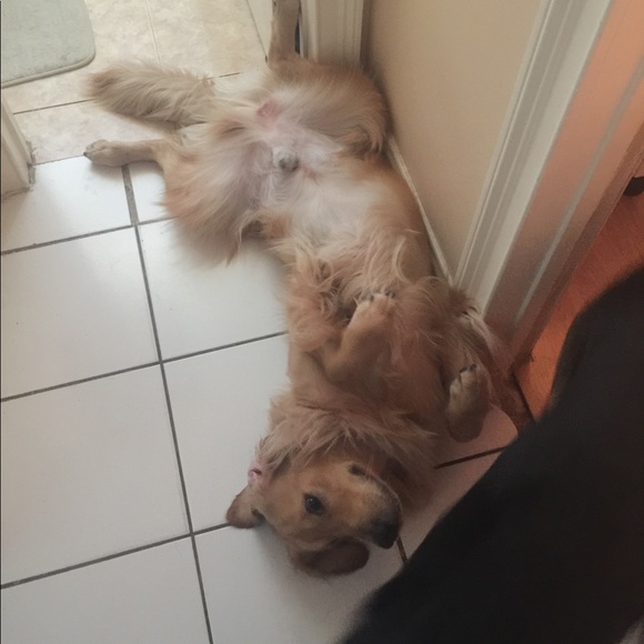 Meet your Posher, Melissa - Picture 2 of 5